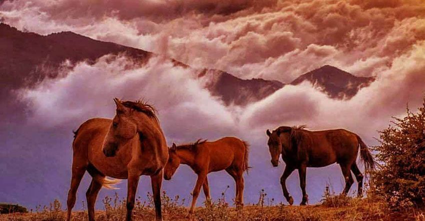 فیلبند مازندران کجاست: بالاتر از ابرها بایستید