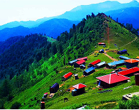 تور 20 روزه، پرواز، هتل 4 ستاره